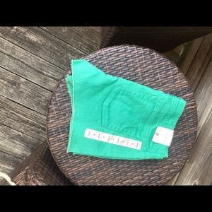 Gap Hadley Denim Green Shorts